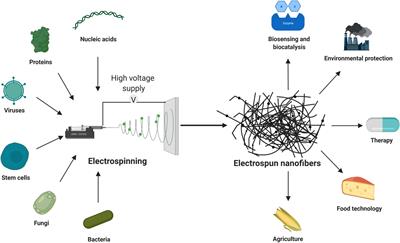 Electrospun Nanofibers as Carriers of Microorganisms, Stem Cells, Proteins, and Nucleic Acids in Therapeutic and Other Applications